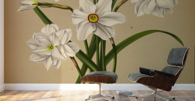 Album van Eeden : Haarlems flora : 1872-1881 Wall Murals