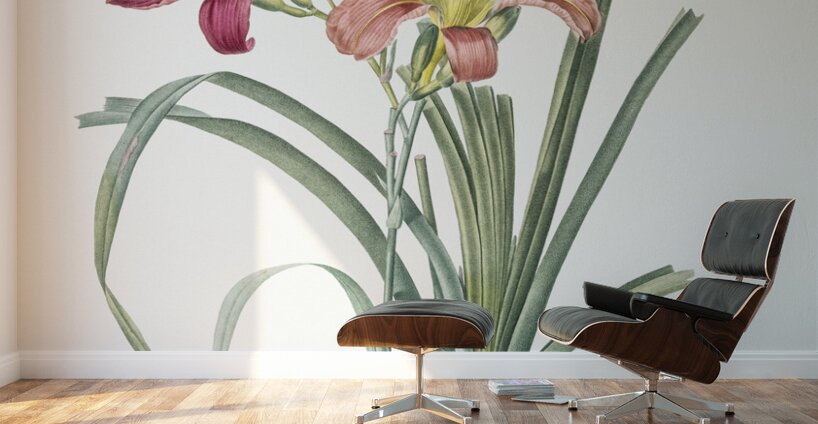 Orange day lily illustration  Wall Murals