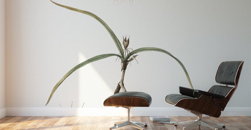 Spring meadow saffron illustration  Wall Murals