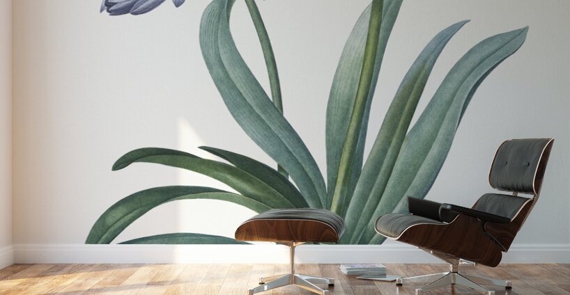 Lily of the Nile illustration  Wall Murals