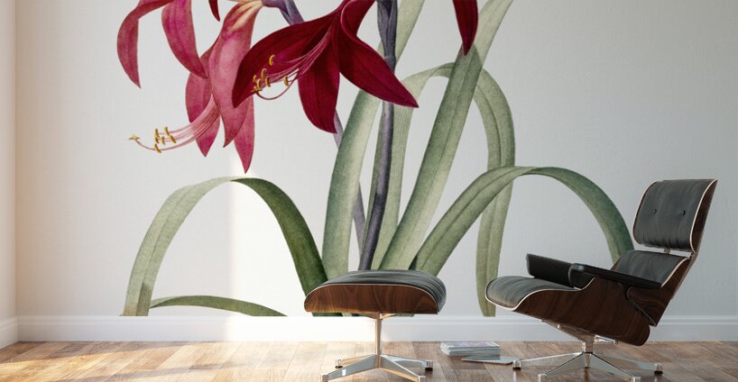 Lily illustration  Wall Murals