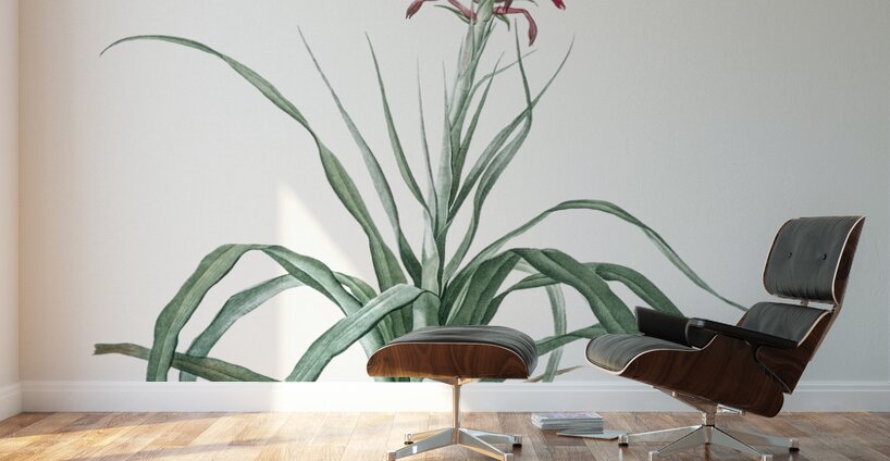 Pina cortadora illustration  Wall Murals