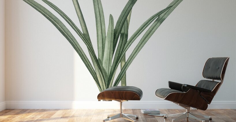 Golden Hurricane Lily illustration  Wall Murals