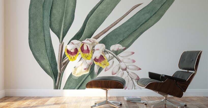Shellflower illustration  Wall Murals