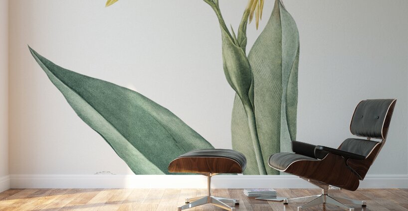 Bandana of the everglades illustration  Wall Murals