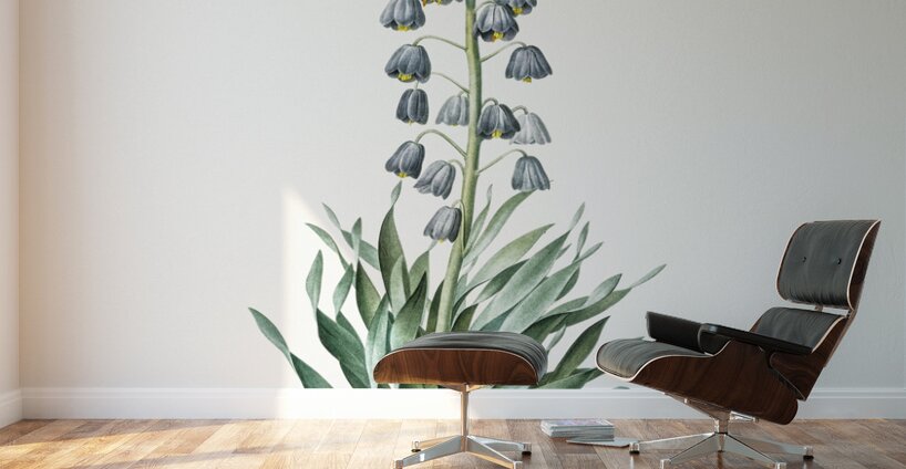 Persian lily illustration Wall Murals