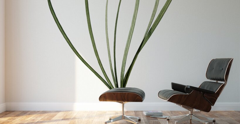 Spring squill illustration  Wall Murals