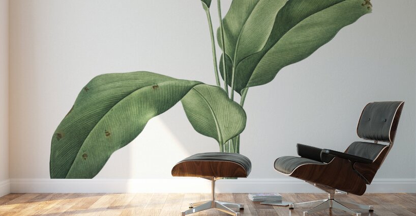 Lobster claws illustration  Wall Murals