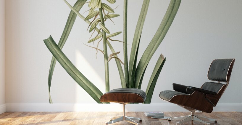 Koyosa illustration  Wall Murals