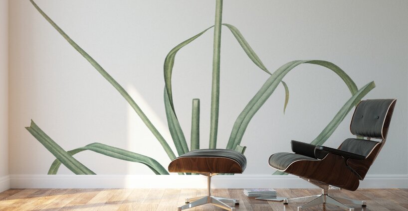 Redhot poker illustration  Wall Murals