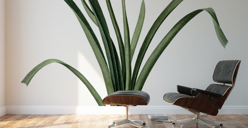 Summer snowflake illustration  Wall Murals