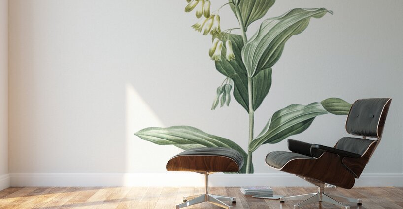 Solomon seal illustration  Wall Murals