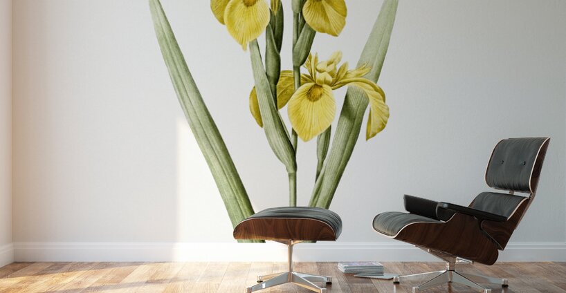 Pale garlic illustration  Wall Murals