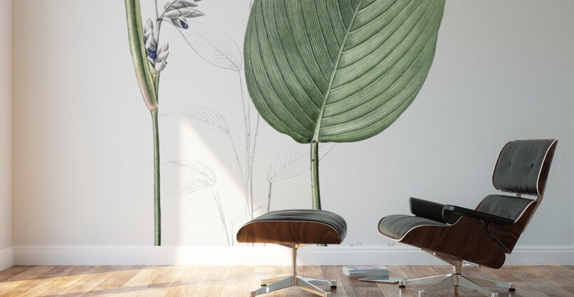 Powdery alligator-flag illustration  Wall Murals