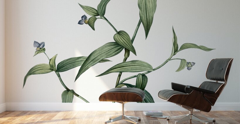 Canada lily illustration  Wall Murals