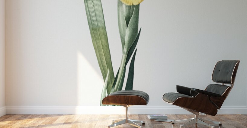 Iris Monnieri illustration  Wall Murals