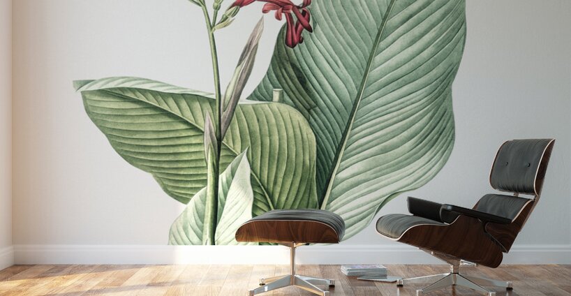 Canna lily illustration  Wall Murals