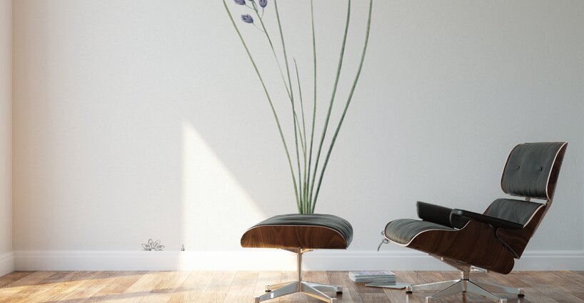 Autumn squill illustration Wall Murals