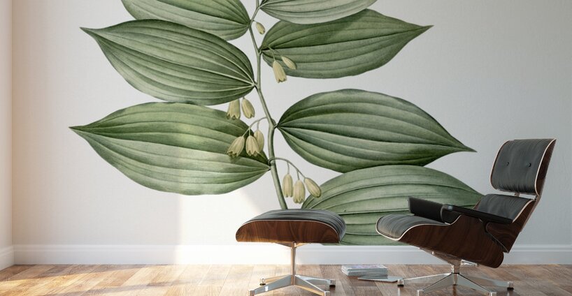 King Solomon seal illustration  Wall Murals