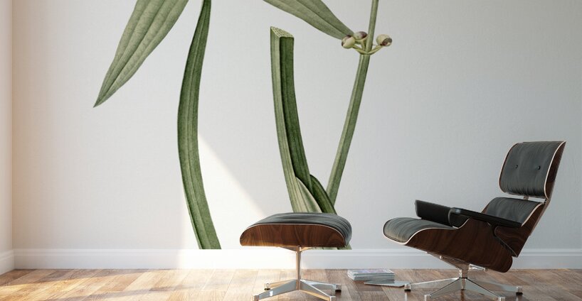 Arrowhead illustration  Wall Murals