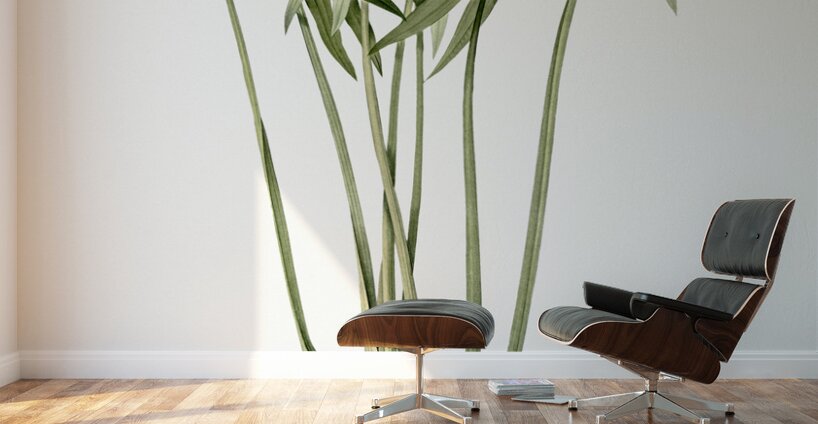 Arrowhead illustration  Wall Murals