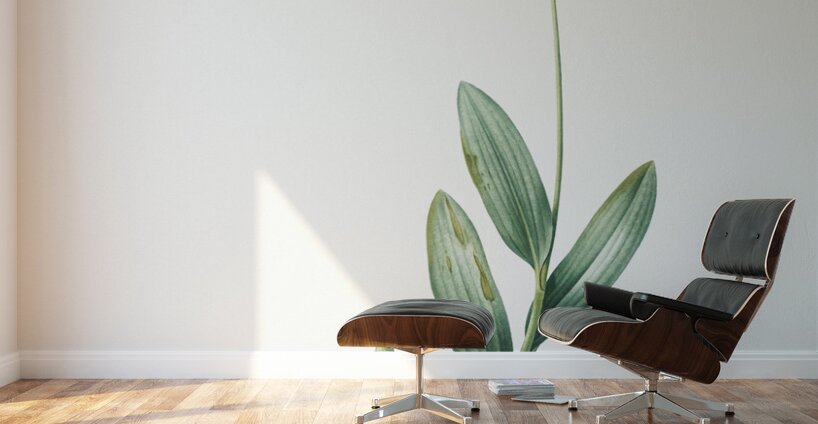 Victory onion illustration  Wall Murals