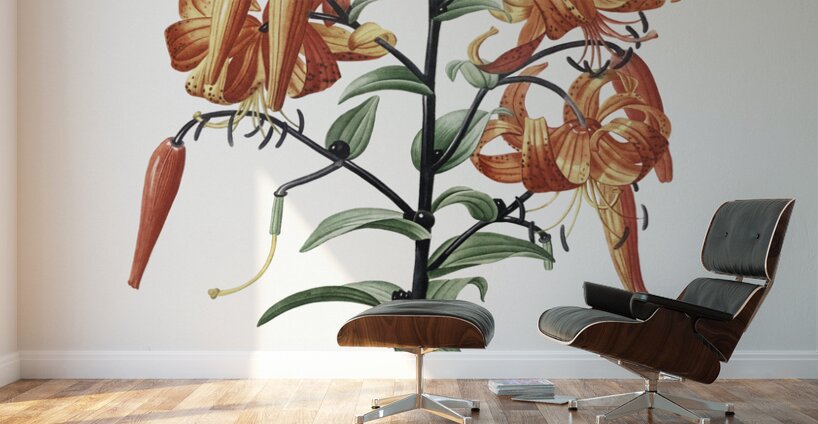 Tiger lily illustration  Wall Murals