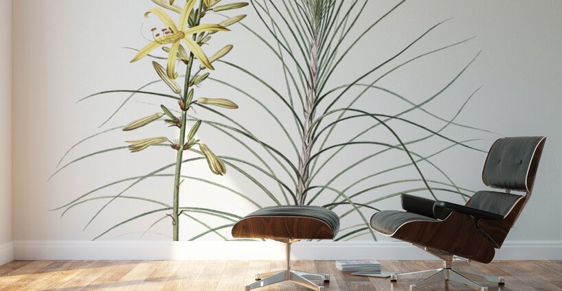 Jacob & rod illustration  Wall Murals