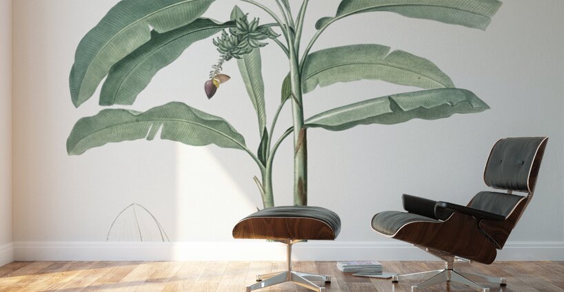 Banana illustration  Wall Murals