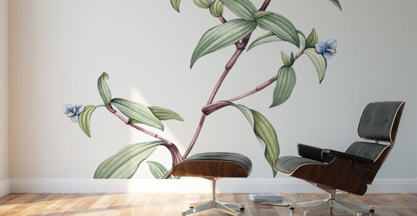 Birdbill dayflower illustration  Wall Murals