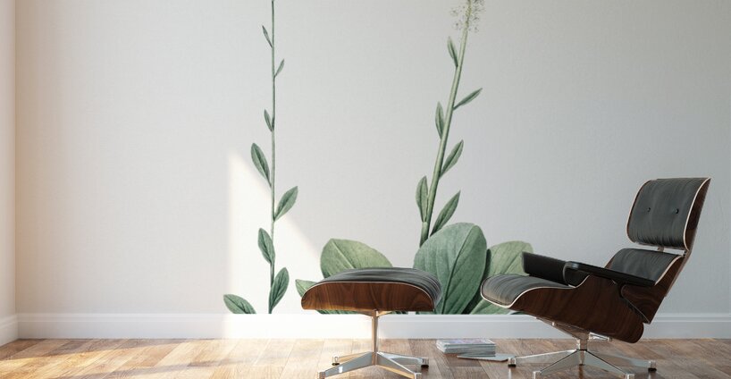 Blazing star illustration  Wall Murals