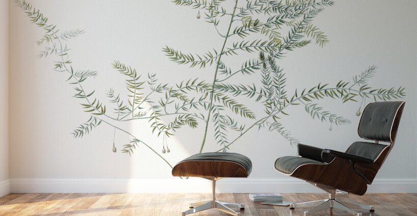 Climbing asparagus fern illustration  Wall Murals
