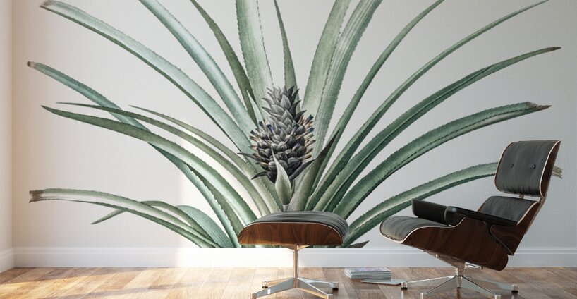 Pineapple illustration  Wall Murals