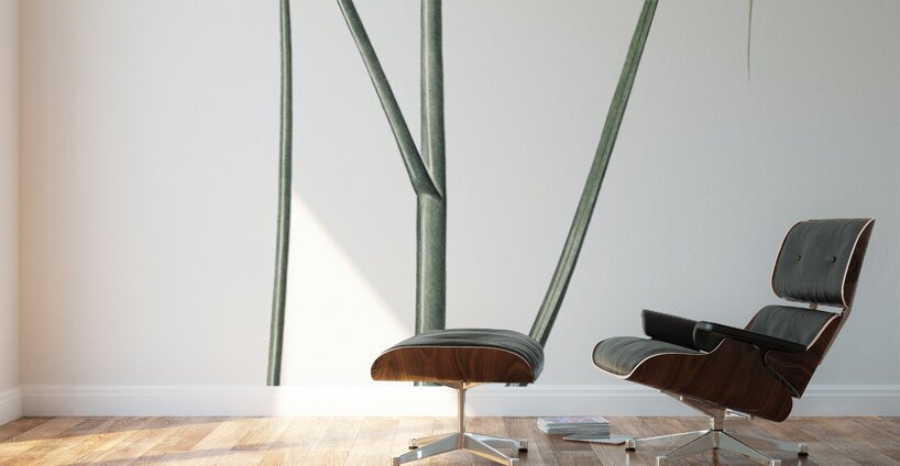 Round-headed leek illustration Wall Murals