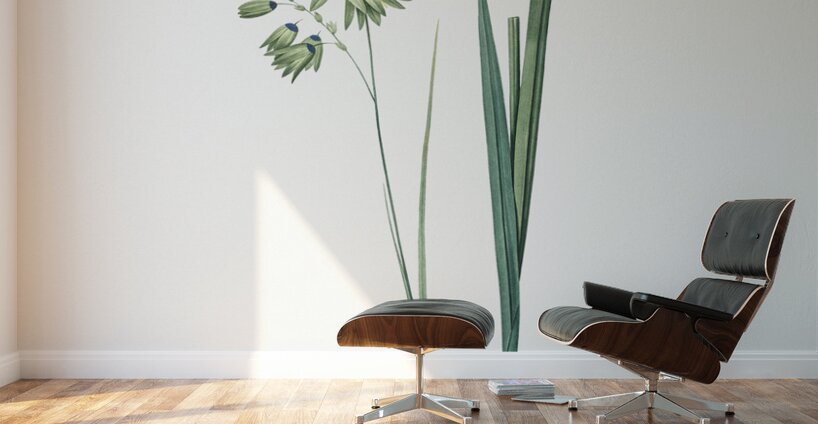 Turquoise ixia illustration  Wall Murals