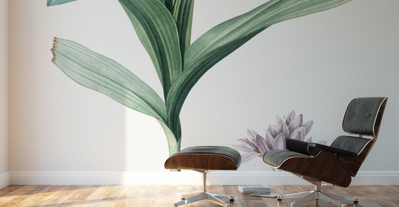 Autumn crocus illustration  Wall Murals