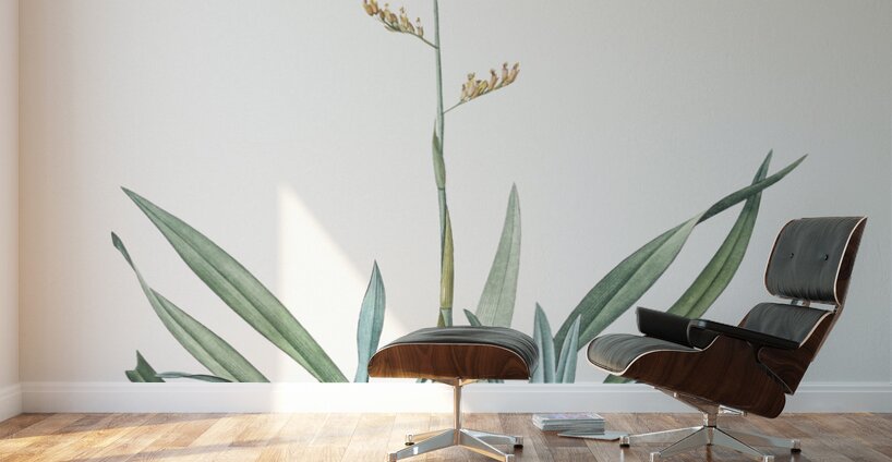 New Zealand flax illustration  Wall Murals