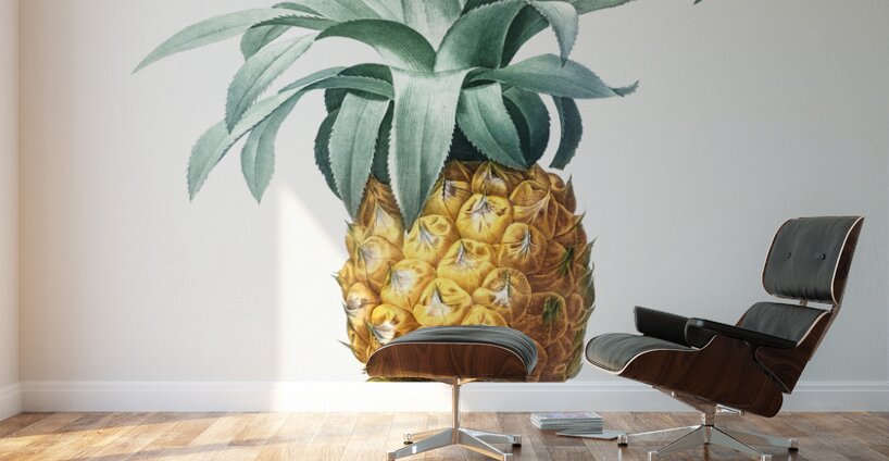 Broadleaf wild leek illustration  Wall Murals