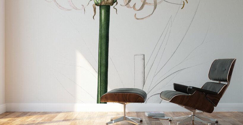 Broadleaf wild leek illustration  Wall Murals