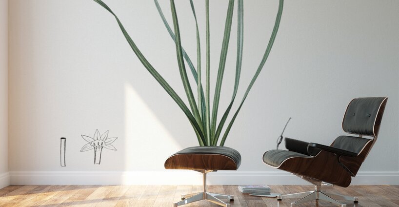 African flag illustration  Wall Murals