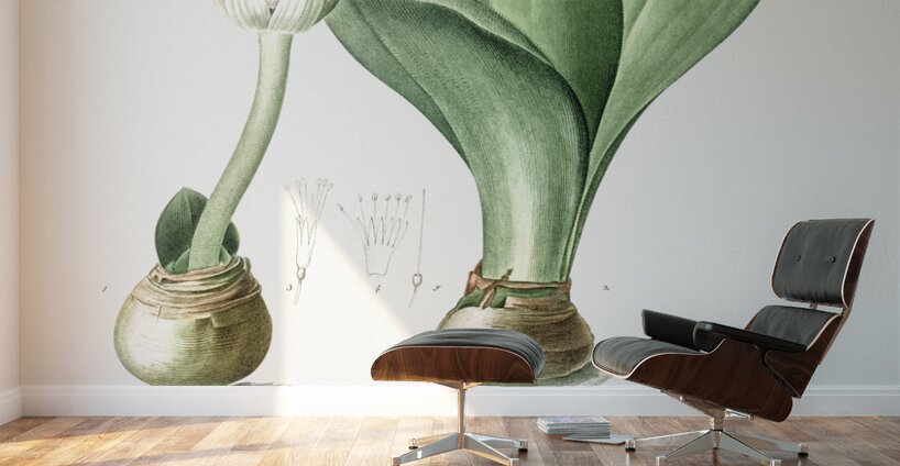 African flag illustration  Wall Murals