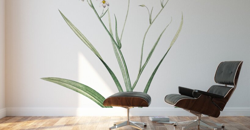 African flag illustration  Wall Murals