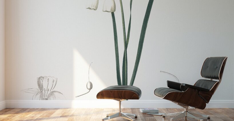 Angel tears illustration  Wall Murals