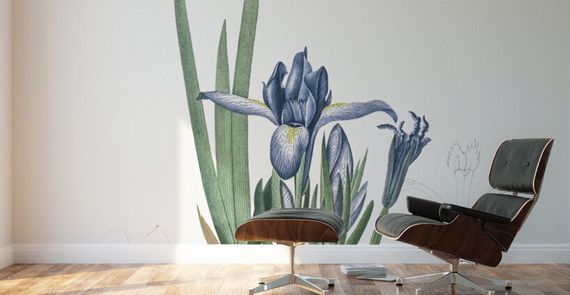 Milky iris illustration  Wall Murals