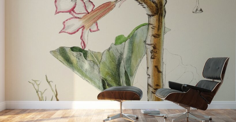 Adenium Multiflorum Wall Murals
