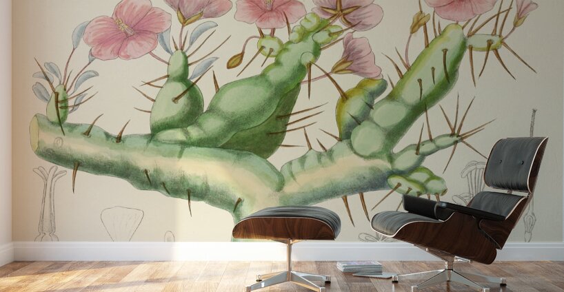 Sarcocaulon Rigidum Wall Murals