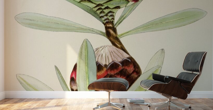 Protea Abyssinica Wall Murals