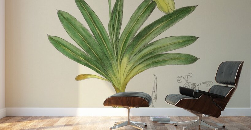 Freesia Refracta Wall Murals