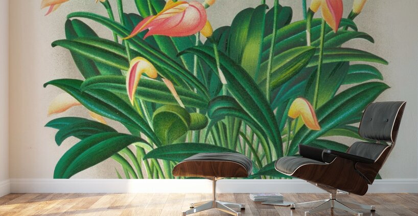 Masdevallia ignea Wall Murals