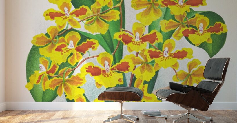 Oncidium sarcodes Wall Murals